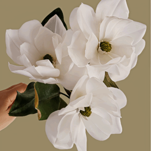Magnolia Técnica Base en Papel de Oblea