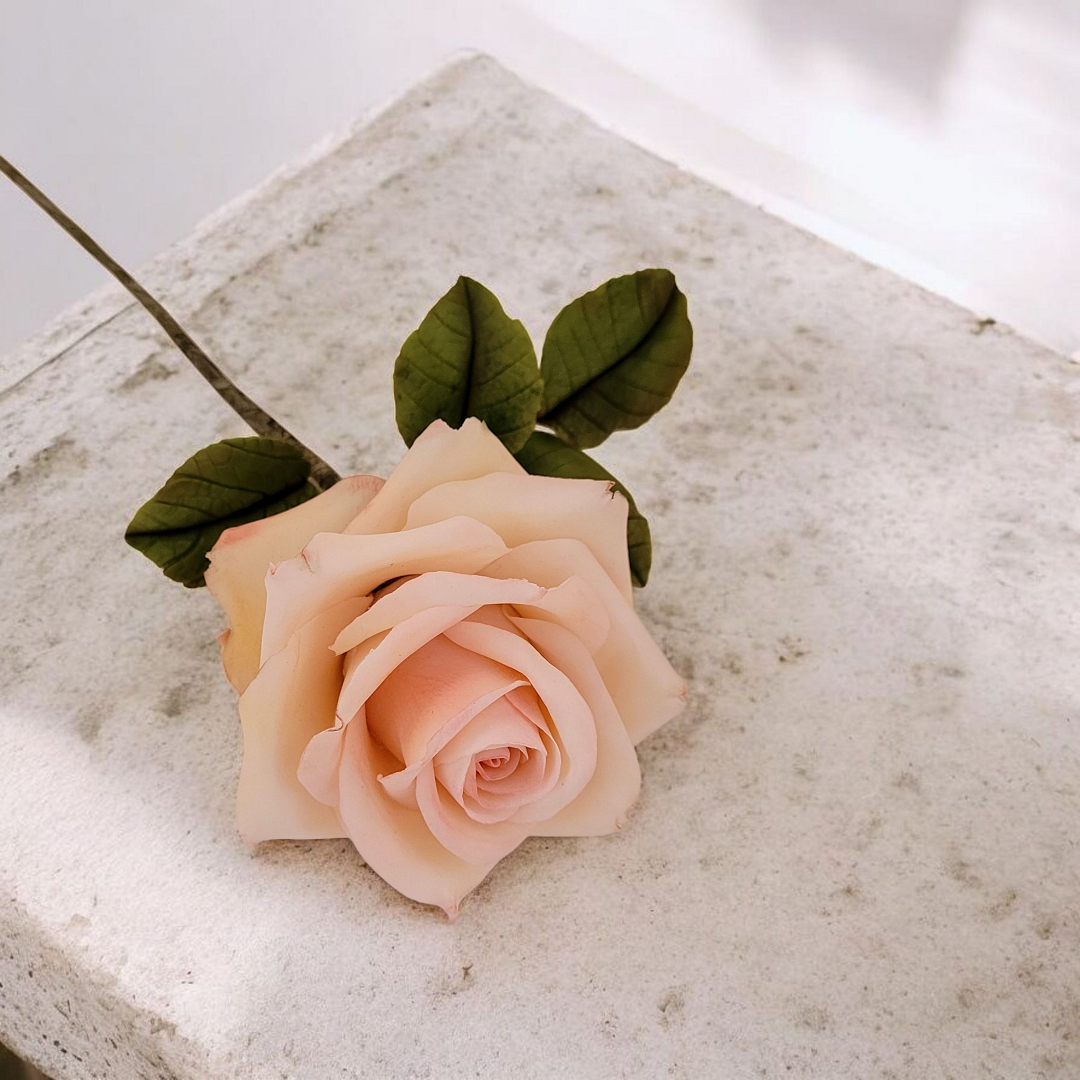 Rosa en Pasta de Goma