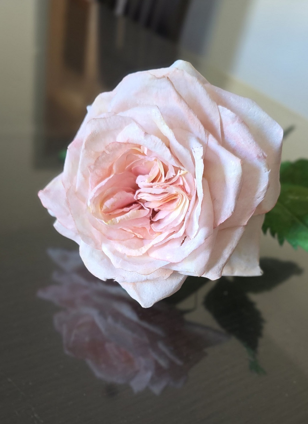 gal_a_5