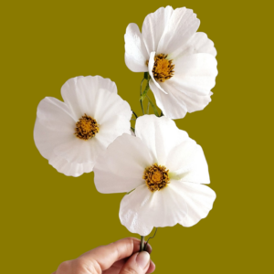 Cosmos y mariposas en papel oblea (wafer paper)- Nivel principiante